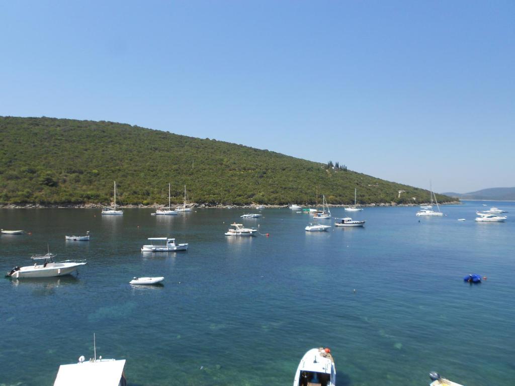 Apartments Vila Lazarevic Tivat Buitenkant foto